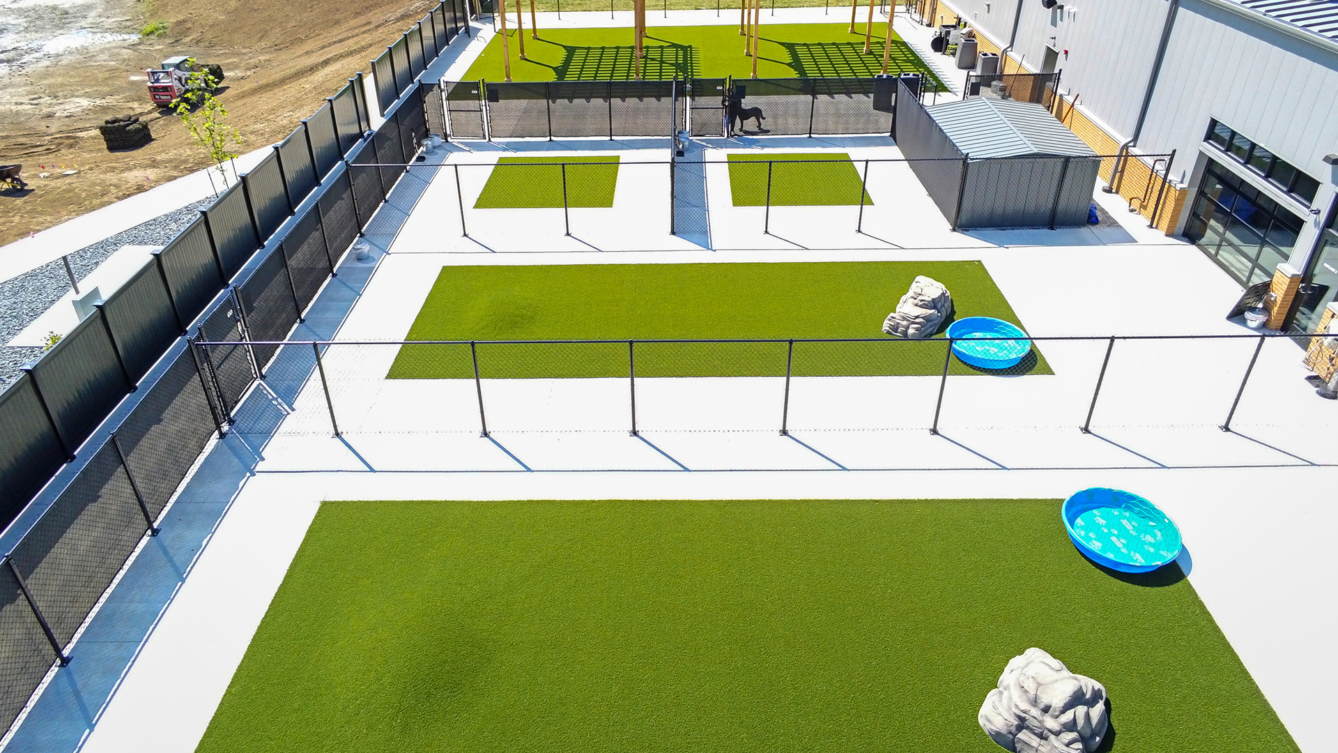 Tampa Pet Turf Doggie Daycare